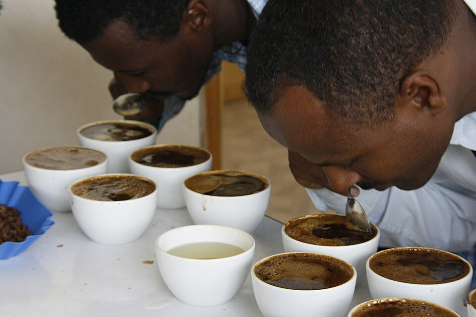 Coffee Testing Experience
